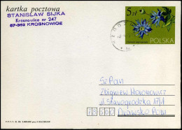 Postcard - Cartas & Documentos