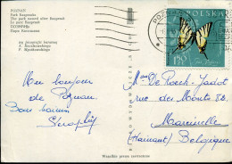 Post Card To Marcinelle, Belgium - Covers & Documents