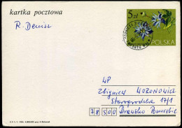 Postcard  - Stamped Stationery