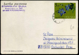 Postcard  - Ganzsachen
