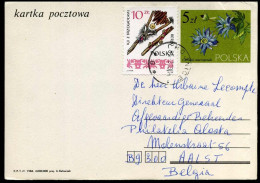 Postcard  - Enteros Postales