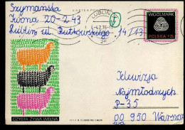 Postcard -  Czysta Zywa Welna - Stamped Stationery