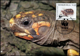 Venezuela - Turtle - Schildpadden