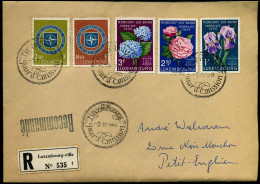 Registered Cover To Petit-Enghien, Belgium - Cartas & Documentos