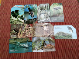 9 Birds Phonecards Used Rare - Other & Unclassified