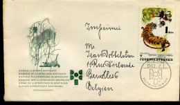Cover From Bratislava To Brussels, Belgium - Covers & Documents