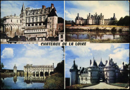 Chateaux De La Loire - Amboise-Chambord-Chenonceaux-Chaumont - Amboise