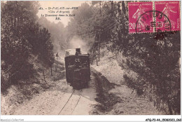 AFQP3-44-0232 - ST-PALAIS-SUR-MER - Le Tramway Dans La Fôret  - Autres & Non Classés