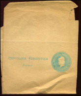 Republica Argentina, Faja Postal, Impresos - Postal Stationery