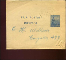 Republica Argentina, Faja Postal, Impresos - Postal Stationery