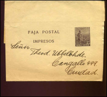 Republica Argentina, Faja Postal, Impresos - Entiers Postaux