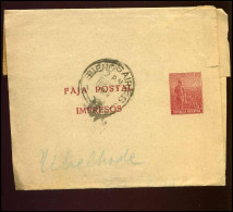 Republica Argentina, Faja Postal, Impresos - Postwaardestukken