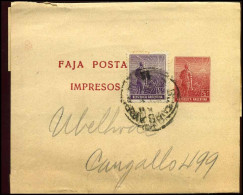 Republica Argentina, Faja Postal, Impresos - Ganzsachen