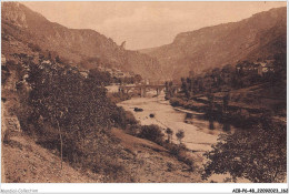 AIBP6-48-0693 - GORGES DU TARN - Les Vignes  - Gorges Du Tarn