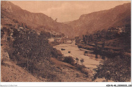 AIBP6-48-0676 - GORGES DU TARN - Les Vignes  - Gorges Du Tarn