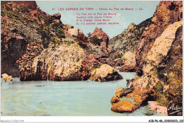AIBP6-48-0668 - LES GORGES DU TARN - Chaos Du Pas De Soucy  - Gorges Du Tarn
