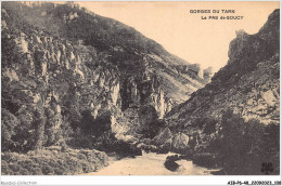 AIBP6-48-0666 - LES GORGES DU TARN - Le Pas De Soucy  - Gorges Du Tarn