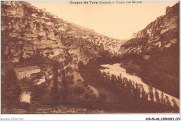 AIBP6-48-0648 - GORGES DU TARN - Cirque Des Baumes  - Gorges Du Tarn