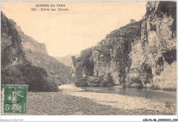 AIBP6-48-0629 - GORGES DU TARN - Entrée Des Détroits - Gorges Du Tarn