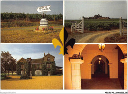 AFXP2-49-0144 - BEAULIEU-SUR-LAYON - Vins De Loire - Coteaux Du Layon - Angers