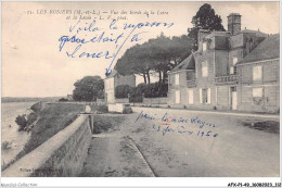 AFXP1-49-0057 - LES ROSIERS - Vue Des Bords De La Loire Et La Levee - Saumur