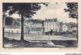 AFXP1-49-0040 - BEAUPREAU - Place Du Champ De Foire - Cholet