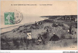 AIEP4-45-0414 - SAINT-BREVIN-LES-PINS - Loire-inf - Les Dunes D'amour - Saint-Brevin-les-Pins