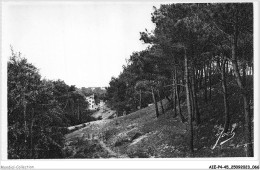 AIEP4-45-0384 - LA BAULE-LES-PINS - Loire-inf - Au Bois D'amour - Une échappée Sur La Mer - La Baule-Escoublac