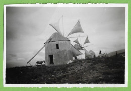 Luso - Buçaco - REAL PHOTO - Moinho De Vento - Molen - Windmill - Moulin - Portugal - Mulini A Vento