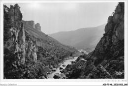 AIBP7-48-0756 - GORGES DU TARN - Vue Prise Du Belvédère Du Pas De Souci  - Gorges Du Tarn