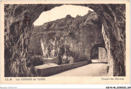 AIBP6-48-0704 - GORGES DU TARN - Tunnel Des Beaumes  - Gorges Du Tarn