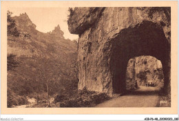 AIBP6-48-0702 - GORGES DU TARN - Un Tunnel Et Rocher De Capluc  - Gorges Du Tarn