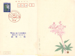 731479 MNH JAPON 1985 CABALLITO DE MAR - Nuevos