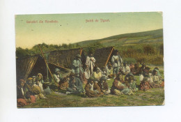 1910 Rumänien Romania Colour Photocard Salutari De Romania Camp Of Gypsies, Roma Familien Vor Zelten - Rumania