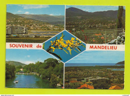 06 Souvenir De MANDELIEU Vers Cannes 4 Vues Et Mimosas Piscine La Siagne VOIR DOS Et Flamme En 1980 - Cannes