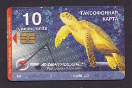 2002 Russia Phonecard › Turtle - Ice-Phili,10  Units,Col:RU-PET-A-0036 - Rusland
