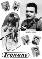 PHOTO CYCLISME REENFORCE GRAND QUALITÉ ( NO CARTE ) GROUPE TEAM LEGNANO 1951 - Wielrennen