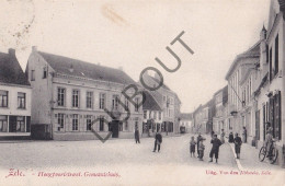 Postkaart - Carte Postale - Zele - Hoogpoortstraat Gemeentehuis   (C6032) - Zele