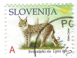 2018 Eurasian Lynx, Slovenia - Slovenië