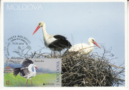 MOLDOVA 2019 EUROPA CEPT.NATIONAL BIRDS Private FDC - 2019