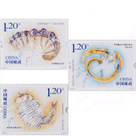 2024-4 China Chengjiang Fossil Land STAMP 3V - Nuevos