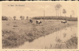 PEER     DE DOMMEL - Peer