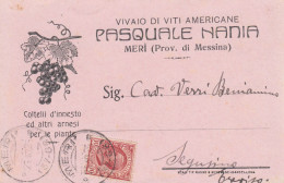 AA11 1925 - MERI MESSINA FRAZIONARIO 37-68 CARTOLINA COMMERCIALE VIVAIO VITI AMERICANE - VINO - UVA - PIANTE - Marcofilía