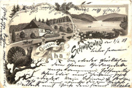 Gruss Aus Dem Aha - Schwarzwald Litho - Schluchsee