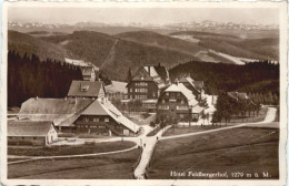 Hotel Feldbergerhof - Feldberg