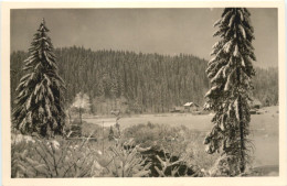 St. Blasien - Gasthof Zum Tannhäuser - Waldshut-Tiengen