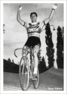 PHOTO CYCLISME REENFORCE GRAND QUALITÉ ( NO CARTE ), OSCAR PLATTNER 1951 - Wielrennen