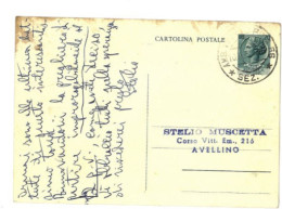 X1833)  AVELLINO CARTOLINA POSTALE VIAGGIATA LIRE 20 - Avellino