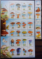 Angola 1999, Mushrooms All Over The World, Three MNH Sheetlets, Two MNH S/S And Stamps Set - Angola