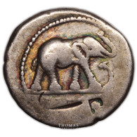 Jules César - Denier éléphant – Rome – Patine Rainbow - Repubblica (-280 / -27)